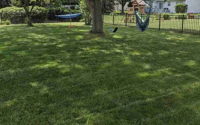 Photo of Jessica W.'s yard after getting lawn care in Okemos, MI