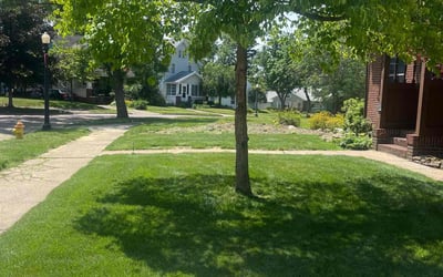 Photo of Rebecca W.'s yard after getting lawn care in Perrysburg, OH