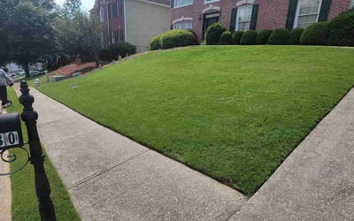 Photo of David R.'s yard after getting lawn care in Saint Albans, NY