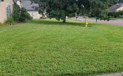 Photo of Chanell C.'s yard after getting lawn care in Keystone Heights, FL