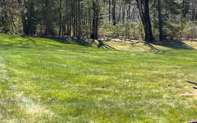 Photo of Merina B.'s yard after getting lawn care in Southbridge, MA