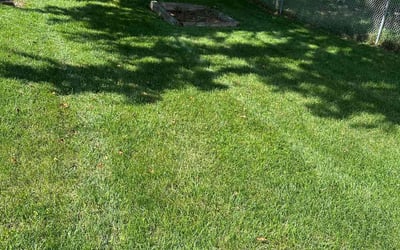 Photo of Paul S.'s yard after getting lawn care in Urbandale, IA