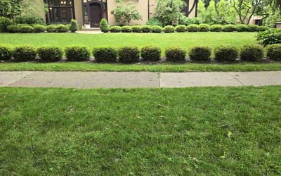 Photo of Brianna L.'s yard after getting lawn care in Royse City, TX