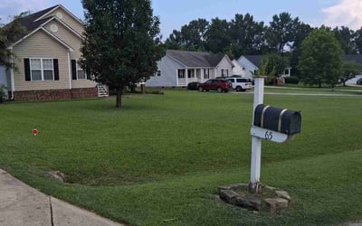 Photo of Georgio K.'s yard after getting lawn care in Mebane, NC