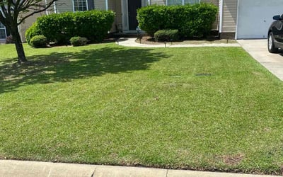 Photo of Gracelyn M.'s yard after getting lawn care in Leesville, SC