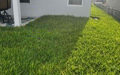 Photo of Jenni S.'s yard after getting lawn care in Massapequa, NY