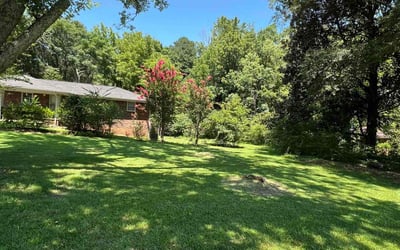Photo of Curtis P.'s yard after getting lawn care in Fairfield, AL