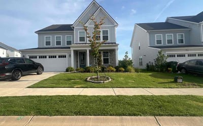 Photo of Zack R.'s yard after getting lawn care in Great Falls, SC