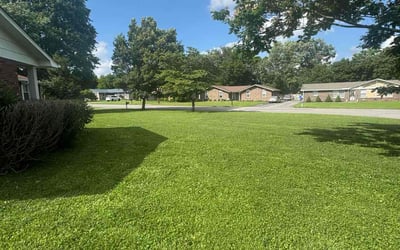 Photo of Queen Q.'s yard after getting lawn care in New Orleans, LA