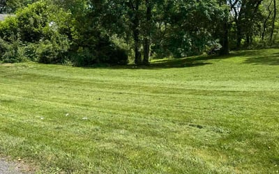 Photo of Ben P.'s yard after getting lawn care in Collegeville, PA