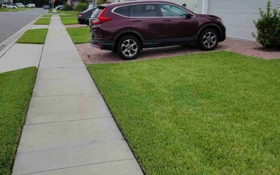 Photo of Cynthia T.'s yard after getting lawn care in Frostproof, FL
