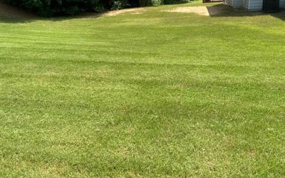 Photo of Sophia W.'s yard after getting lawn care in Austell, GA