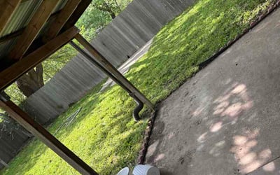 Photo of Alicia W.'s yard after getting lawn care in Niles, OH