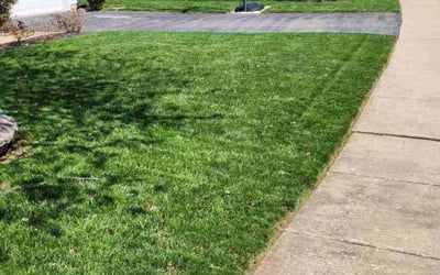 Photo of Lee H.'s yard after getting lawn care in Annapolis, MD