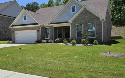Photo of James P.'s yard after getting lawn care in Baytown, TX