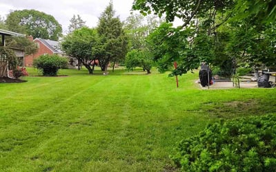 Photo of Jaleshea C.'s yard after getting lawn care in Washington, DC