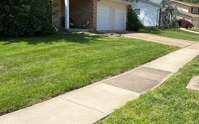 Photo of Jackie O.'s yard after getting lawn care in Brooksville, FL