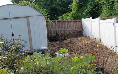 Photo of Renee T.'s yard after getting lawn care in Prospect, KY