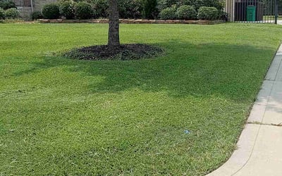 Photo of Eugene C.'s yard after getting lawn care in Montebello, CA