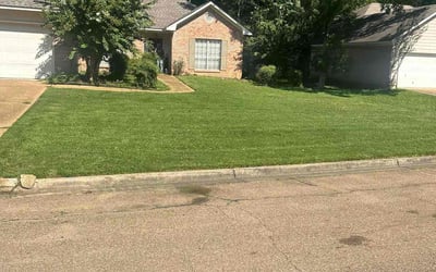 Photo of Hailey D.'s yard after getting lawn care in Ridgeland, MS