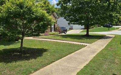 Photo of Scott H.'s yard after getting lawn care in Five Forks, SC