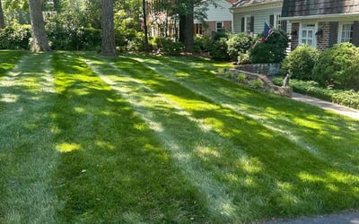 Photo of Michelle B.'s yard after getting lawn care in Aylett, VA