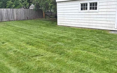 Photo of Celeste R.'s yard after getting lawn care in Freehold, NJ