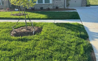 Photo of Tiffany S.'s yard after getting lawn care in Supply, NC