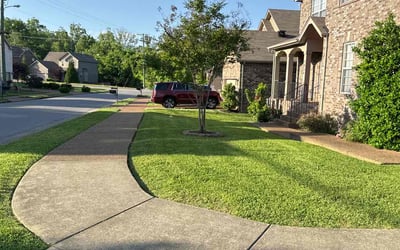 Photo of Ken M.'s yard after getting lawn care in Burns, TN