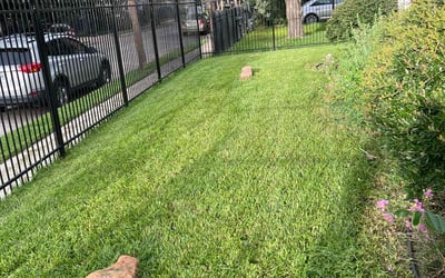 Photo of Andrew H.'s yard after getting lawn care in Sparta, NJ