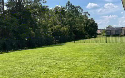 Photo of Brian S.'s yard after getting lawn care in Crestview, FL