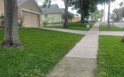 Photo of Katrina W.'s yard after getting lawn care in Newark, DE