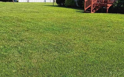 Photo of Alexander C.'s yard after getting lawn care in Callahan, FL