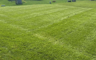 Photo of James Q.'s yard after getting lawn care in Ponchatoula, LA