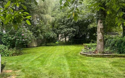 Photo of Ashley T.'s yard after getting lawn care in Denville, NJ