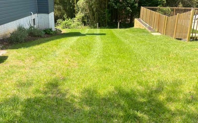 Photo of Cathy W.'s yard after getting lawn care in Elkridge, MD