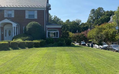 Photo of Alexandra B.'s yard after getting lawn care in Washington, DC