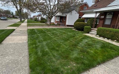 Photo of Margaret W.'s yard after getting lawn care in Orion, MI
