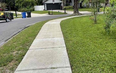 Photo of Veronica C.'s yard after getting lawn care in Oviedo, FL