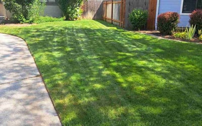 Photo of Joseph R.'s yard after getting lawn care in Holly Springs, NC