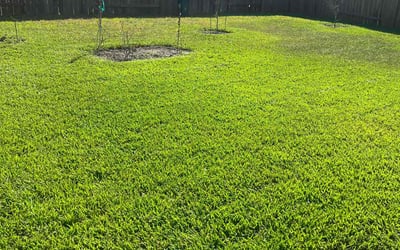Photo of Elizabeth M.'s yard after getting lawn care in Manorville, NY