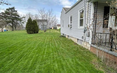 Photo of Elizabeth P.'s yard after getting lawn care in Alliance, OH