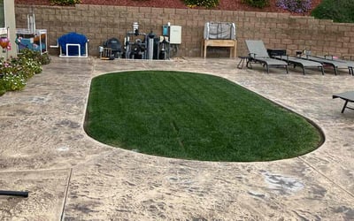 Photo of Kate N.'s yard after getting lawn care in Highland, CA