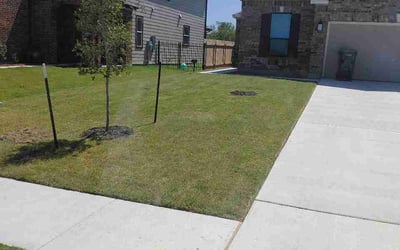 Photo of Lynn D.'s yard after getting lawn care in Olney, MD