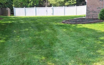 Photo of Deb J.'s yard after getting lawn care in Bellevue, NE