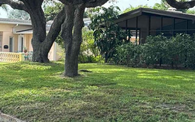 Photo of Missy B.'s yard after getting lawn care in Brooklyn Park, MD