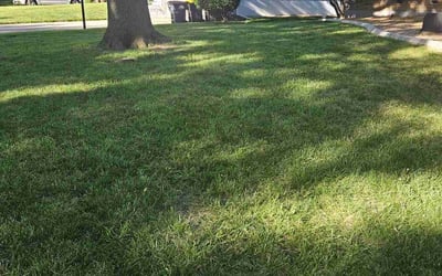 Photo of Karen S.'s yard after getting lawn care in Blue Springs, MO