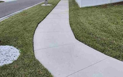 Photo of Carrie Y.'s yard after getting lawn care in Wayne, NJ