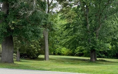 Photo of Norraine L.'s yard after getting lawn care in Saint Clair, MI