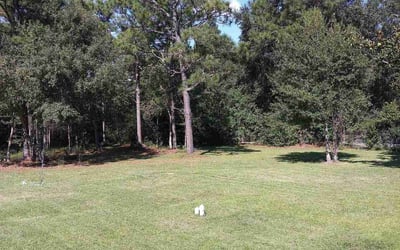 Photo of Dylan M.'s yard after getting lawn care in Gulfport, MS